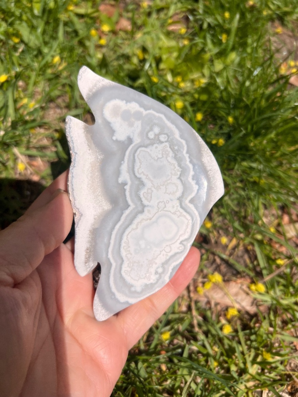 Mexican (3) agate fish carving | crystal